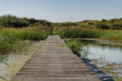 Photographie d'une passerelle - Crédit photo : Pexels.